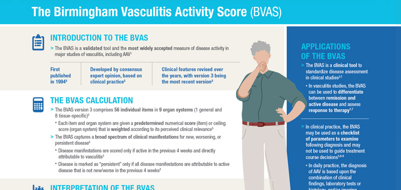 BVAS Infographic