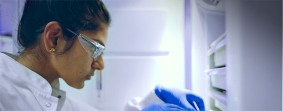 A lab technician conducting research